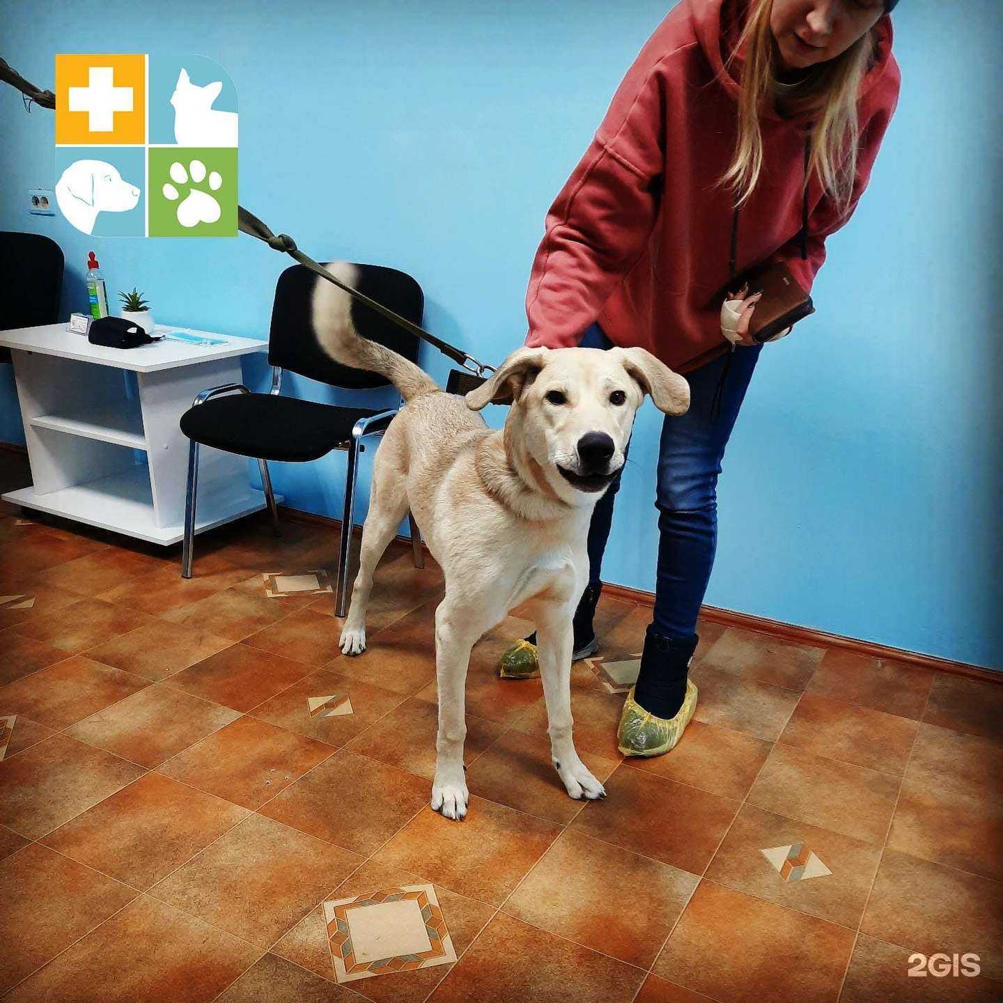 Отзывы на компанию Veda в г. Челябинск c фото