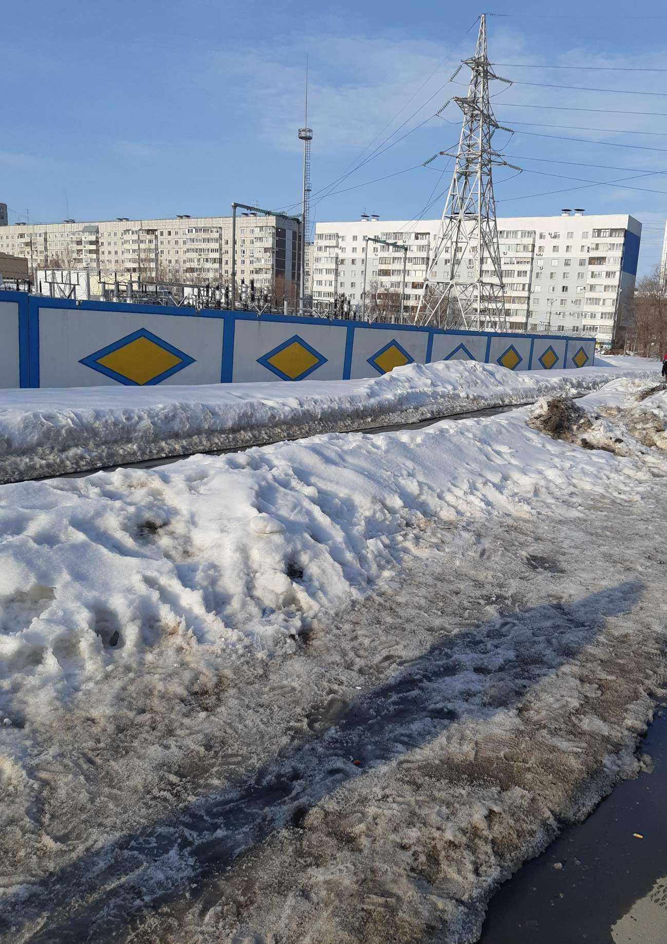 Отзывы на компанию Питомец в Самаре c фото - фотография 2 из 2