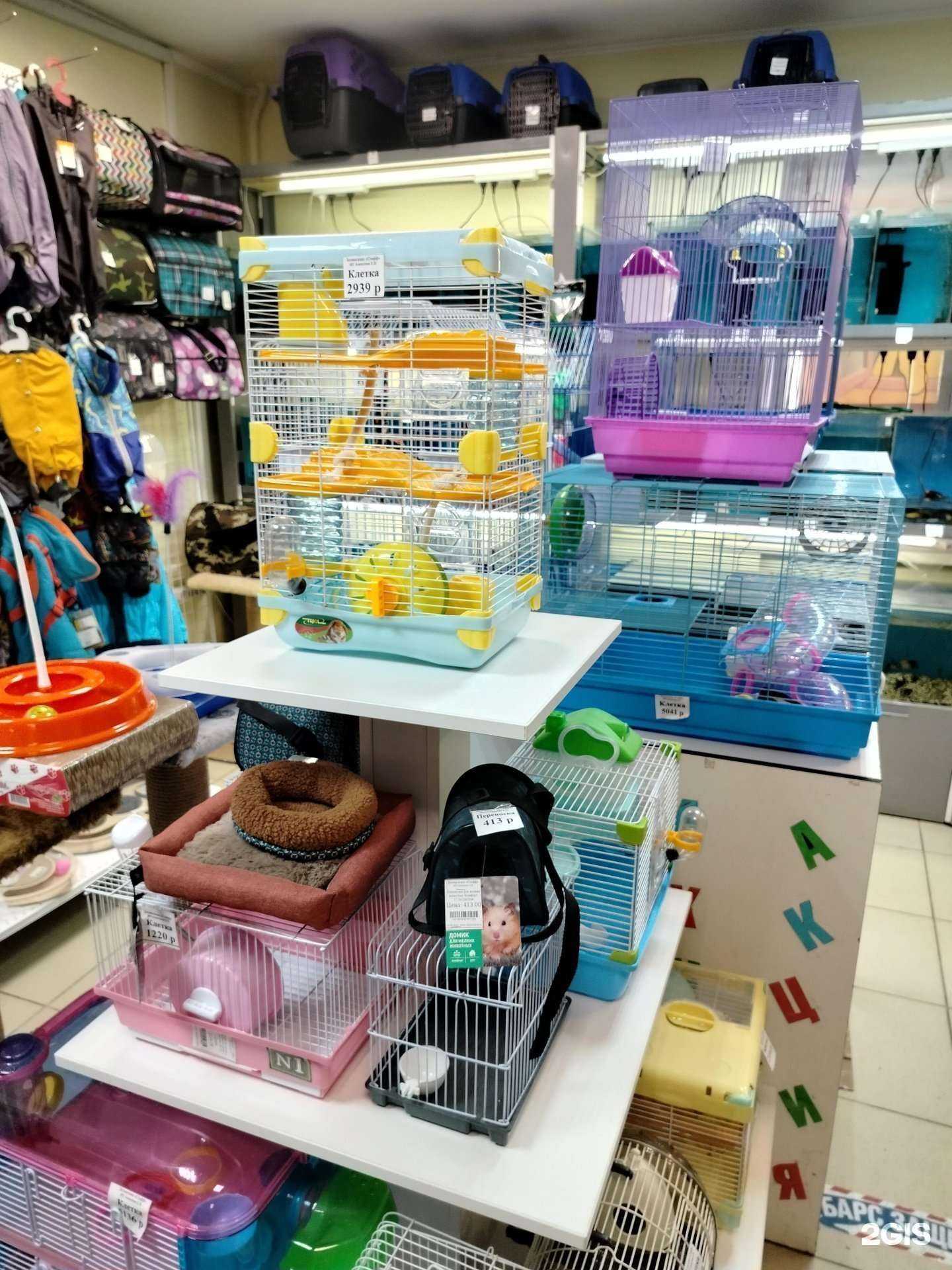 Отзывы на компанию Стафф в г. Павловский Посад c фото