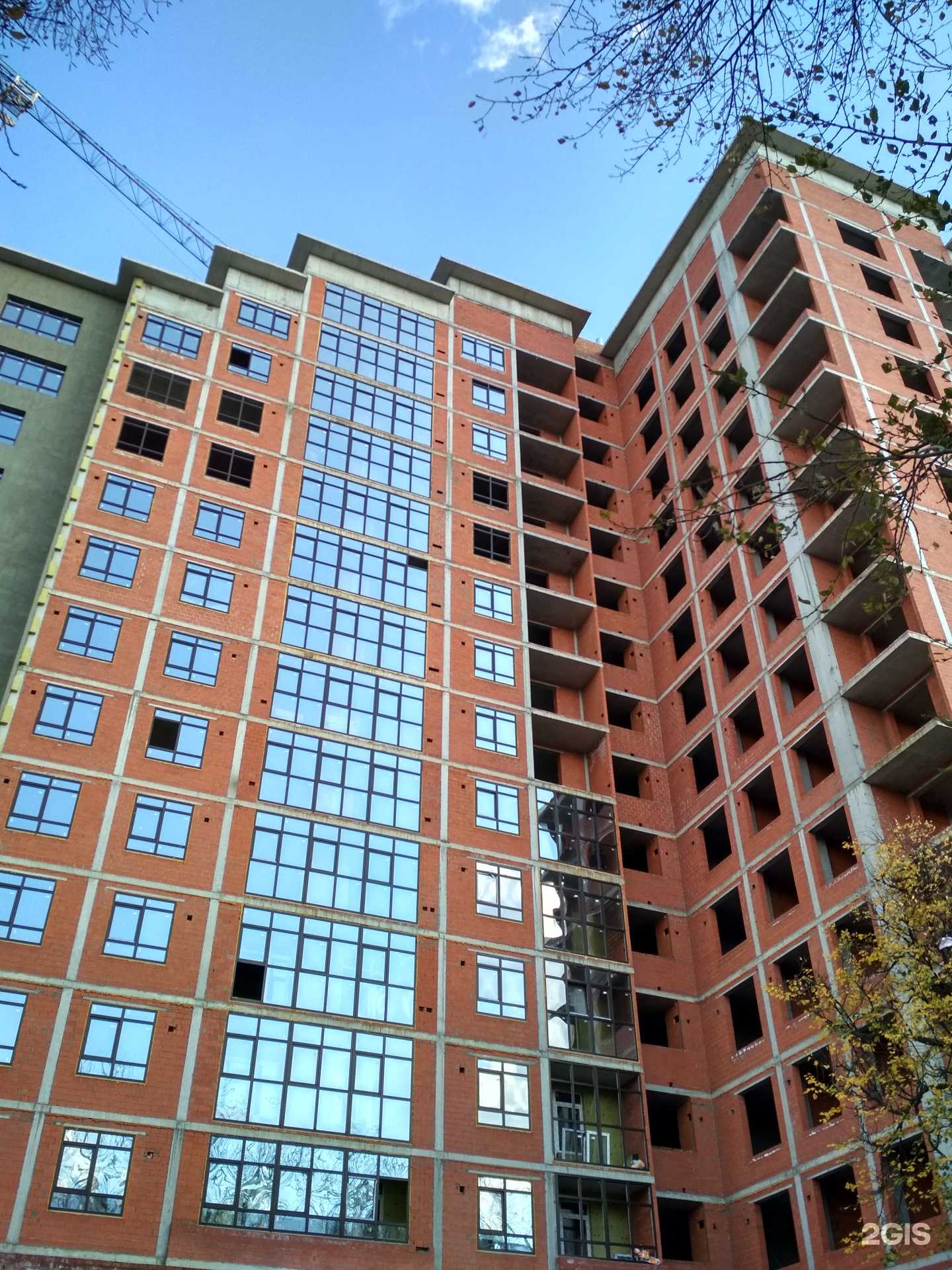 Отзывы на компанию Мимика в Рязани c фото - фотография 2 из 2