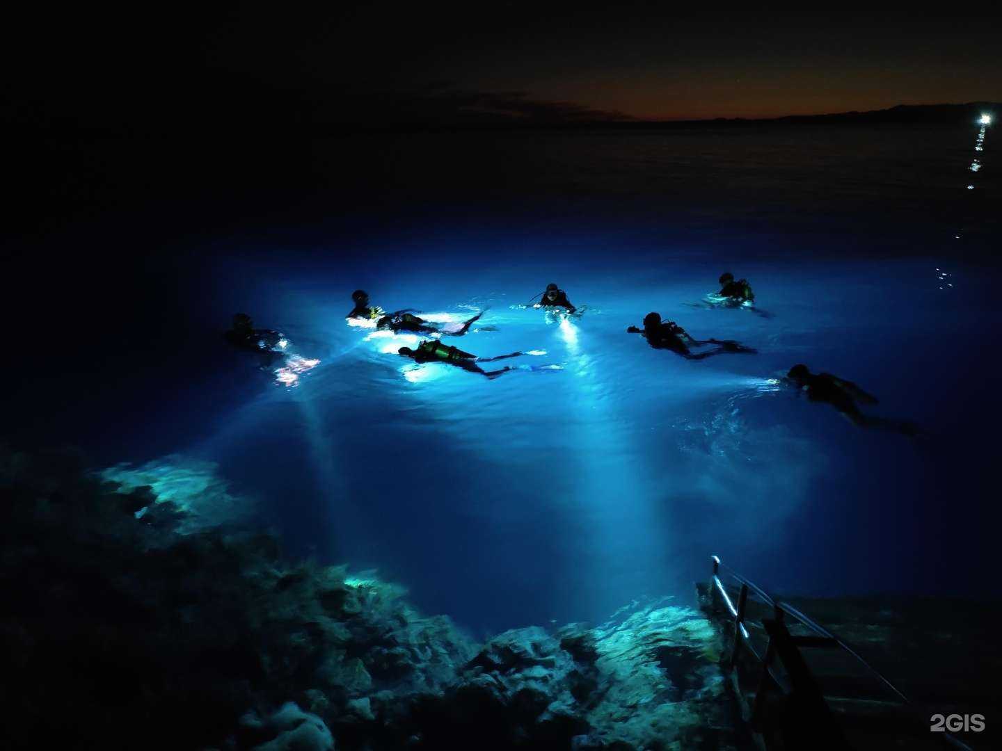 Отзывы на компанию @divingkazan в Казани c фото