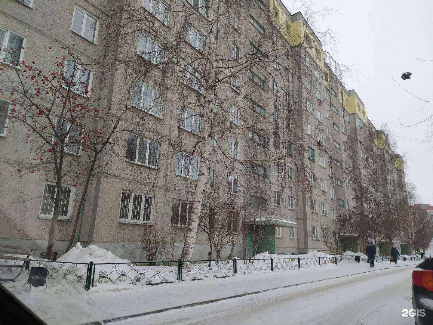 Отзывы на компанию Федерация тхэквондо Курганской области в Кургане c фото - фотография 2 из 2