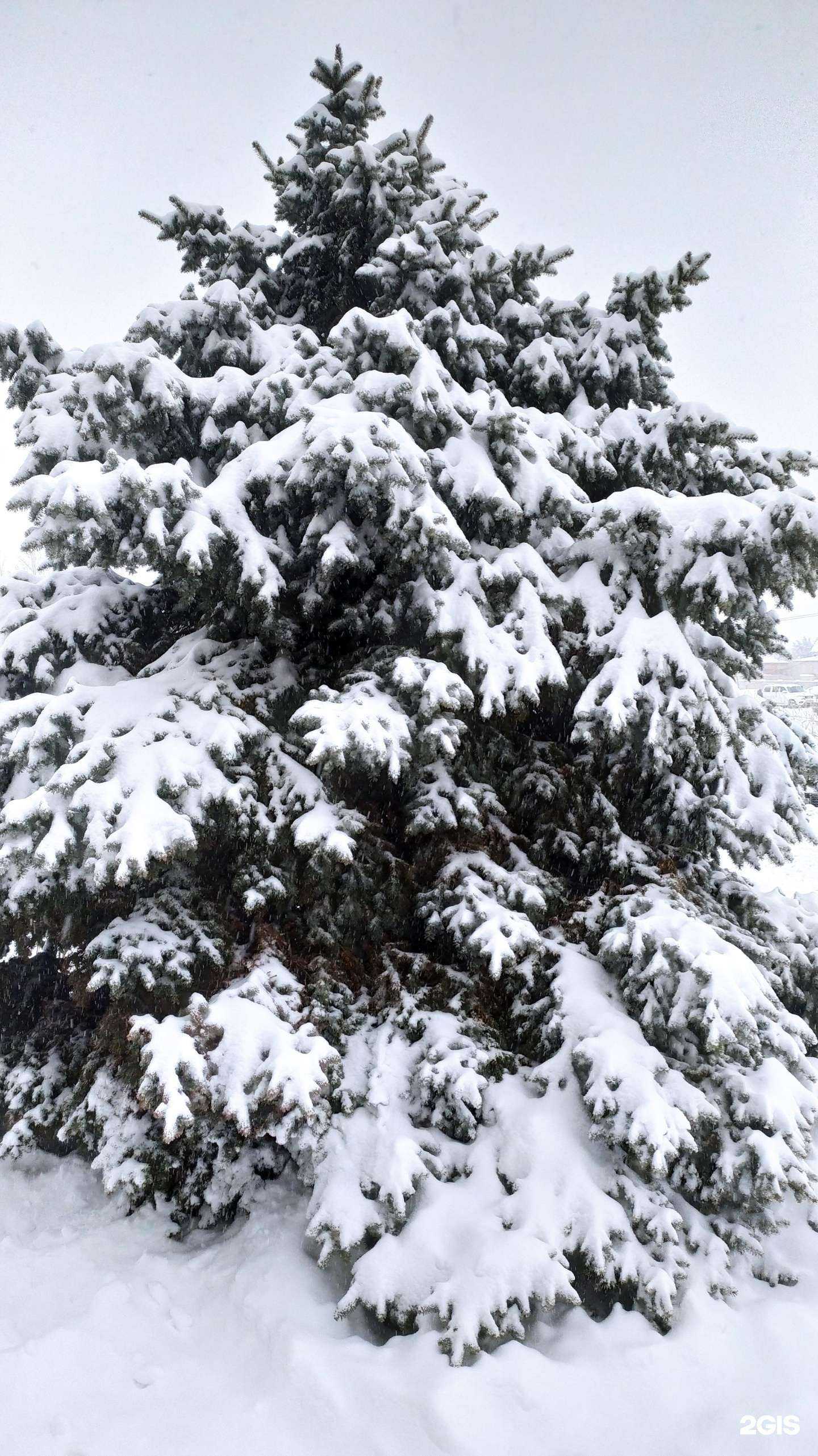 Отзывы на компанию Магнат Трейд Энтерпрайз в Волгограде c фото - фотография 2 из 2