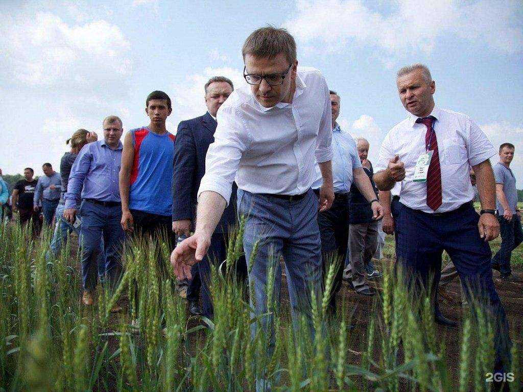 Отзывы на компанию Челябинское монтажно-наладочное управление в г. Челябинск c фото