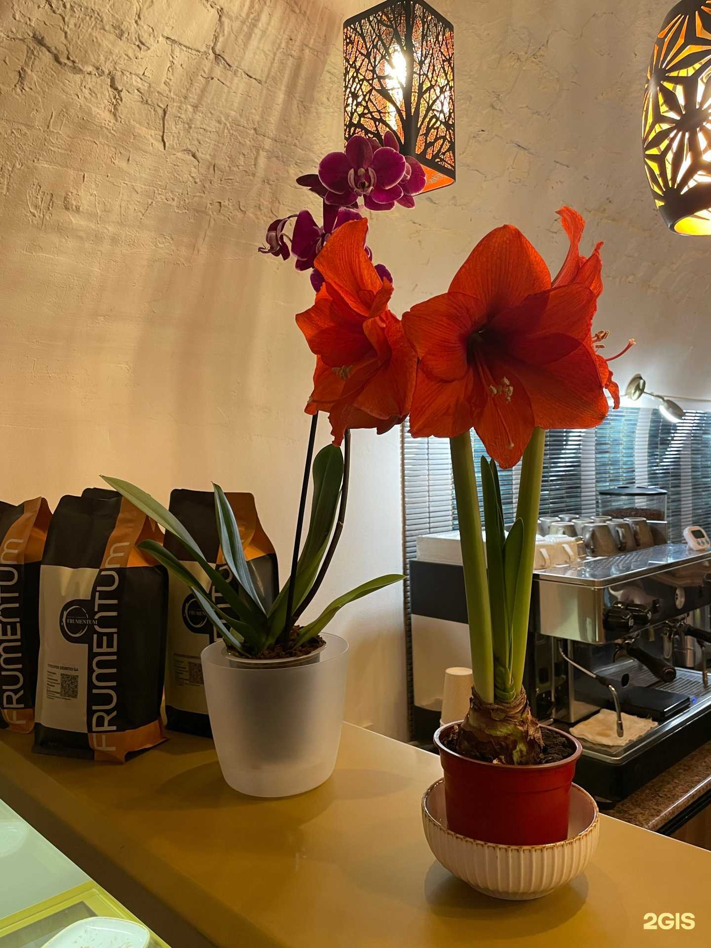 Отзывы на компанию Ботаника в г. Муром c фото