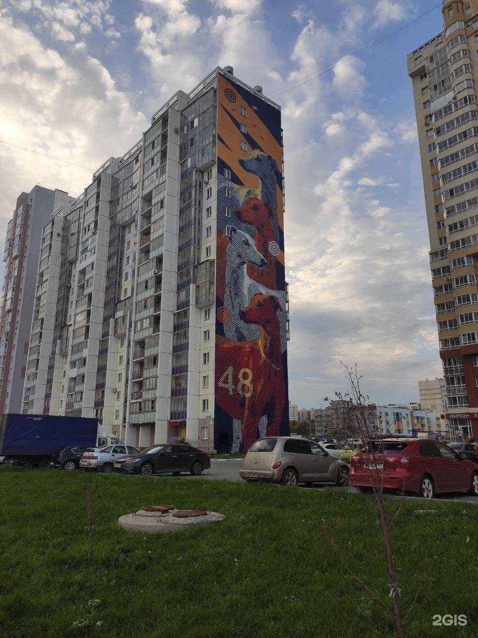 Отзывы на компанию Леман в Челябинске c фото - фотография 2 из 2