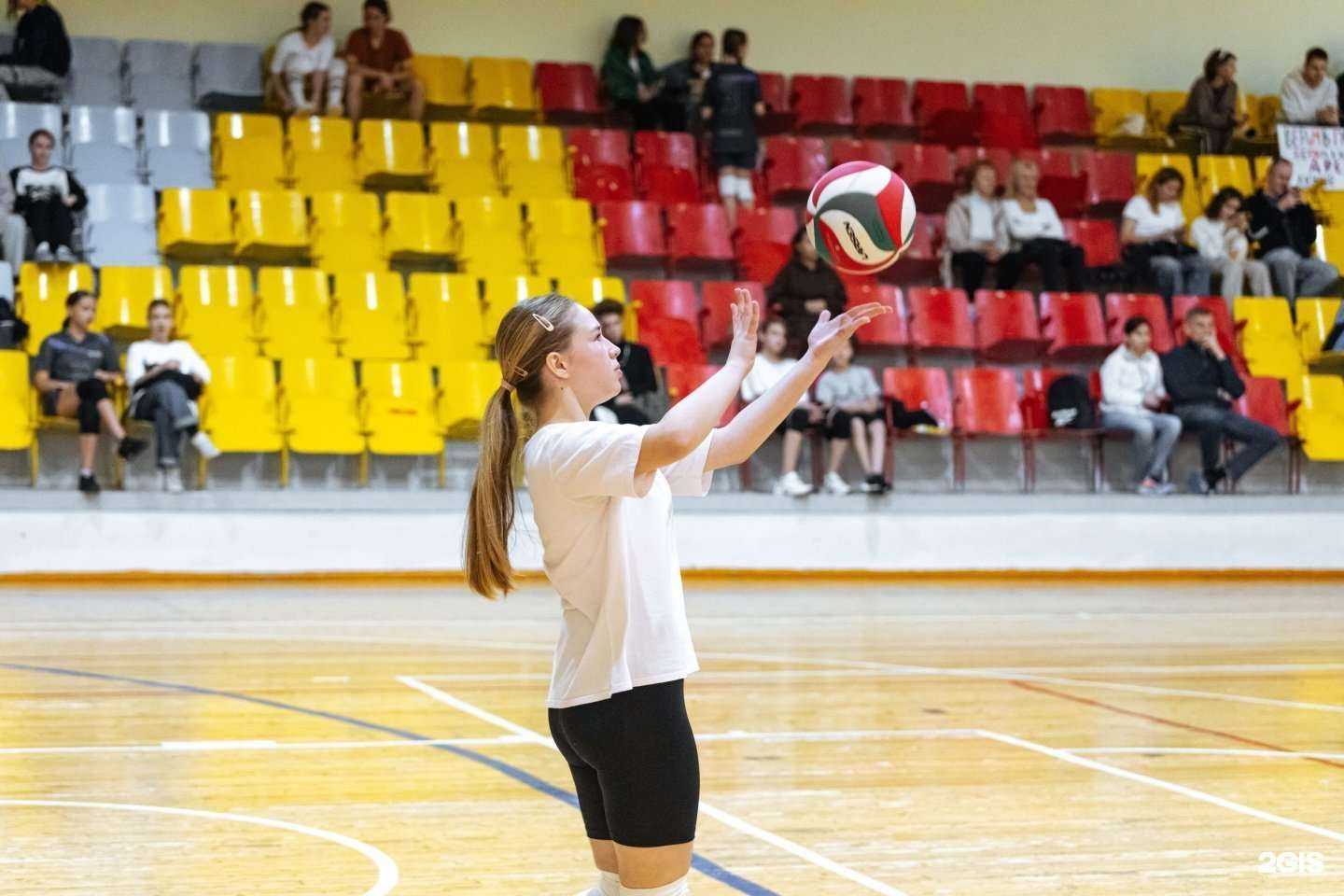 Отзывы на компанию Темпо в Томске c фото