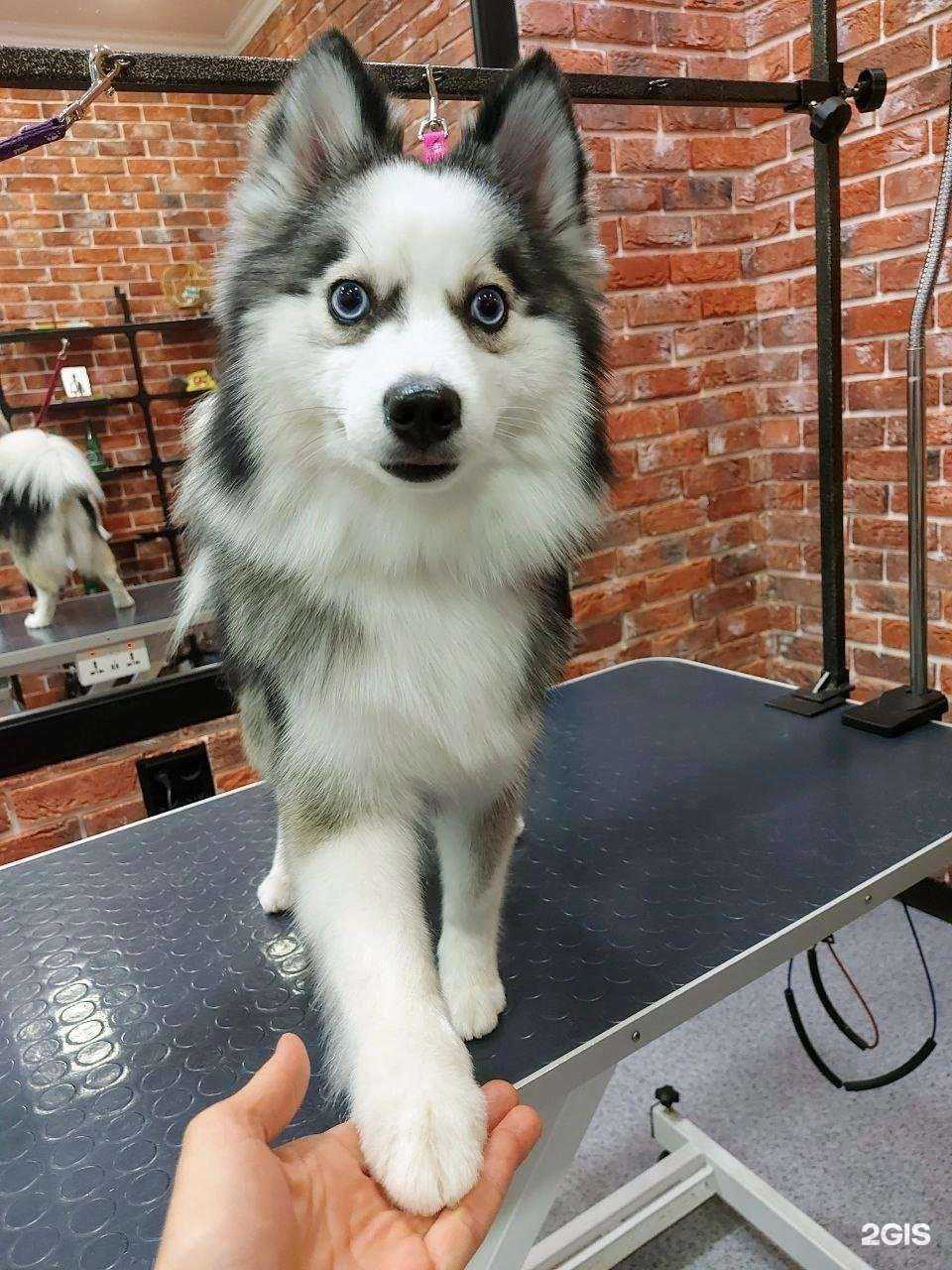 Отзывы на компанию Зефир в г. Туапсе c фото