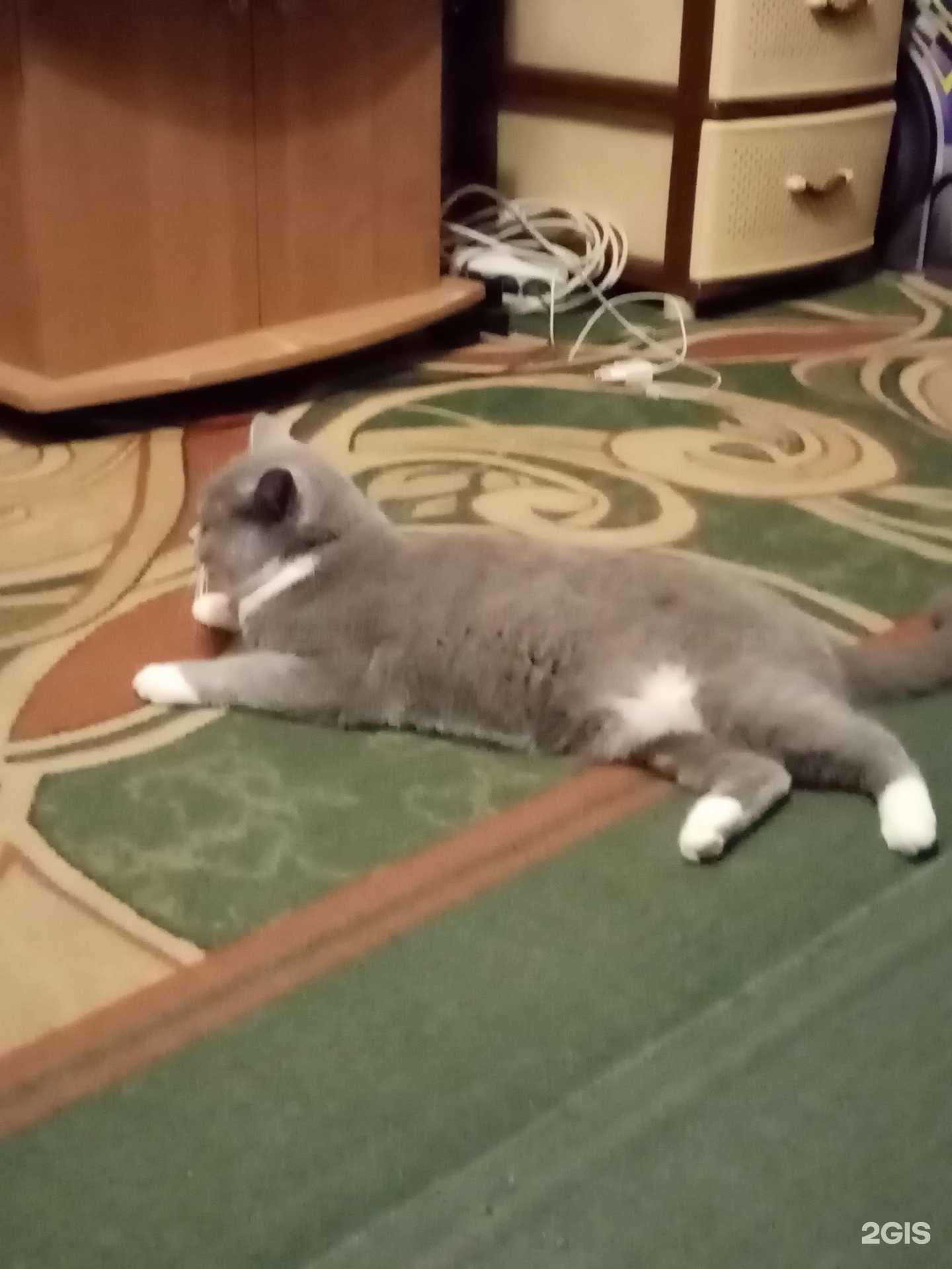 Отзывы на компанию Мясной Бутик в Кувшинове c фото - фотография 2 из 2