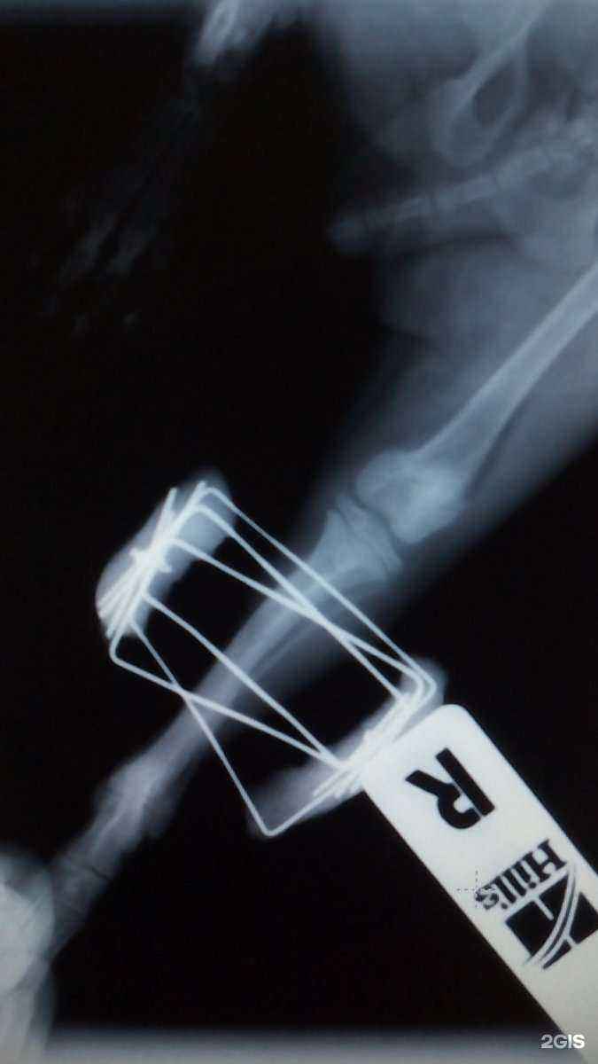 Отзывы на компанию Vetlife в Воронеже c фото