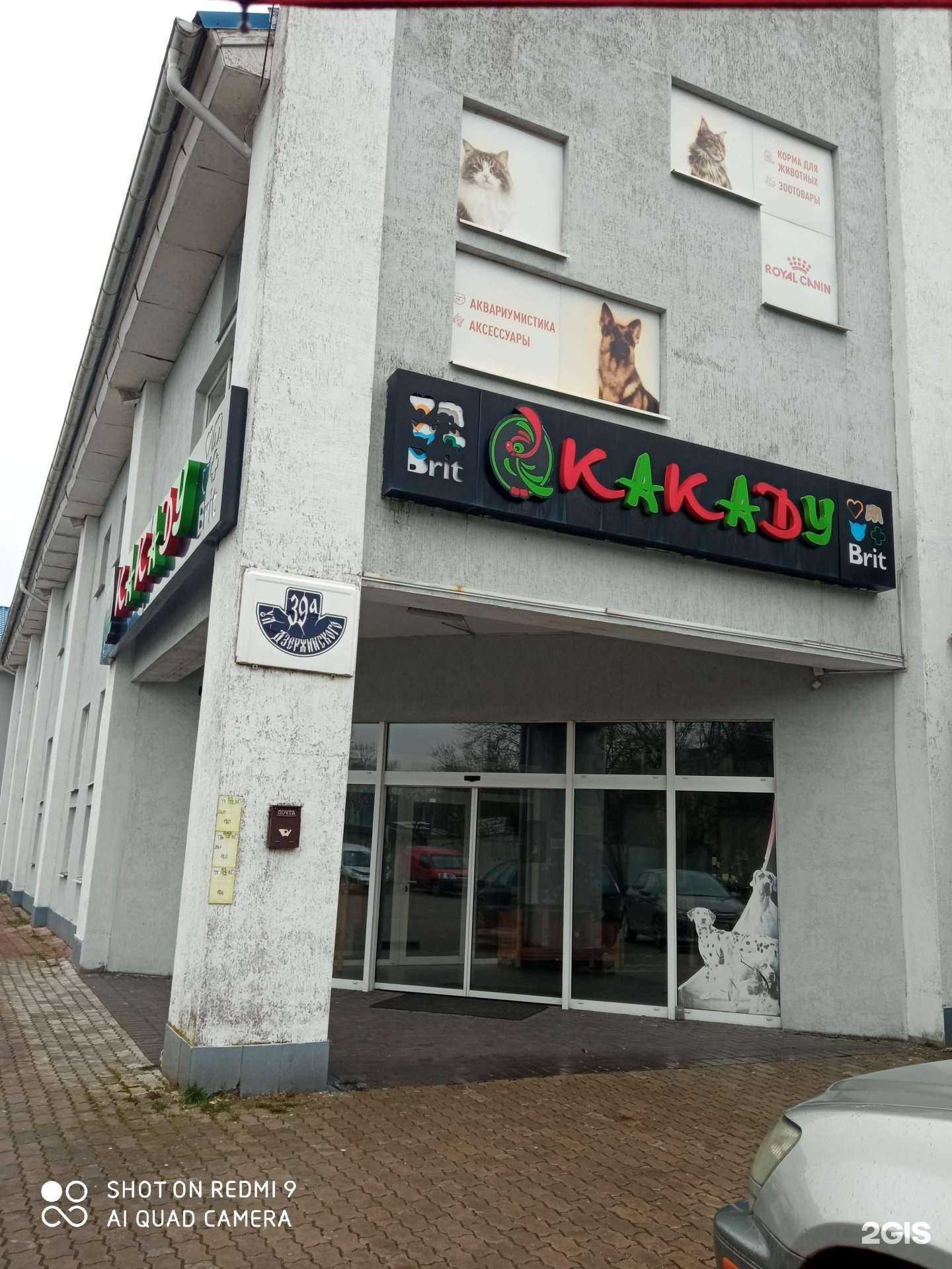 Отзывы на компанию Какаду в Калининграде c фото