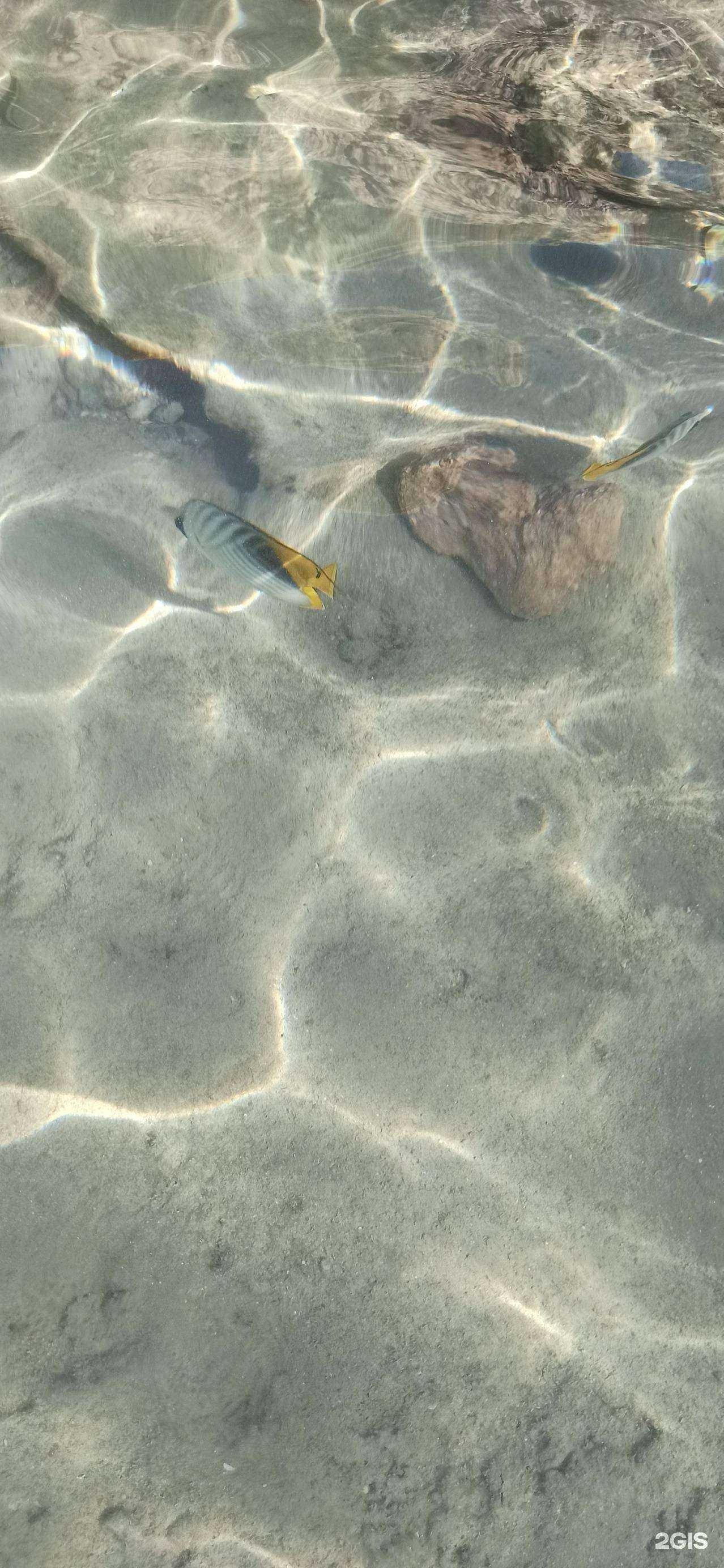 Отзывы на компанию Там-там в Альметьевске c фото