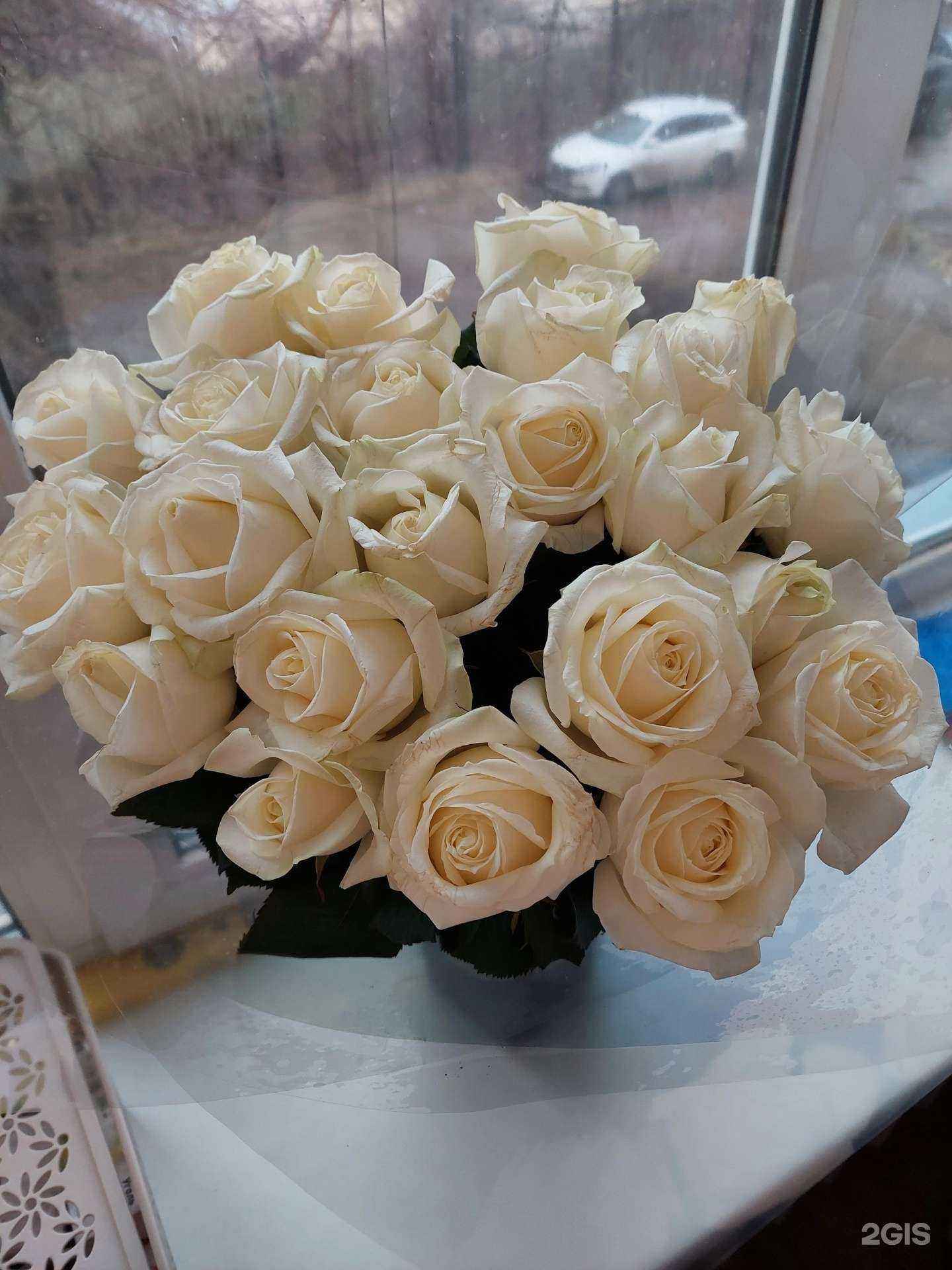 Отзывы на компанию Мимоза в г. Магнитогорск c фото