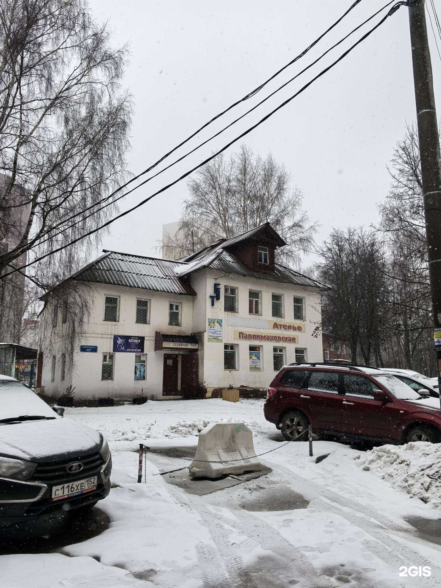 Отзывы на компанию Котофея в г. Нижний Новгород c фото