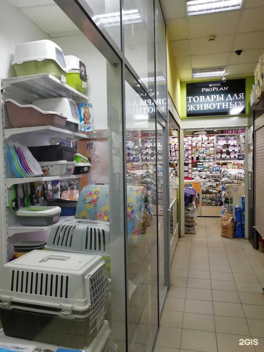 Отзывы на компанию Багира в г. Казань c фото