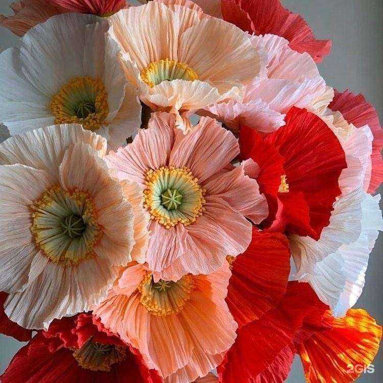 Отзывы на компанию Успех в г. Тольятти c фото