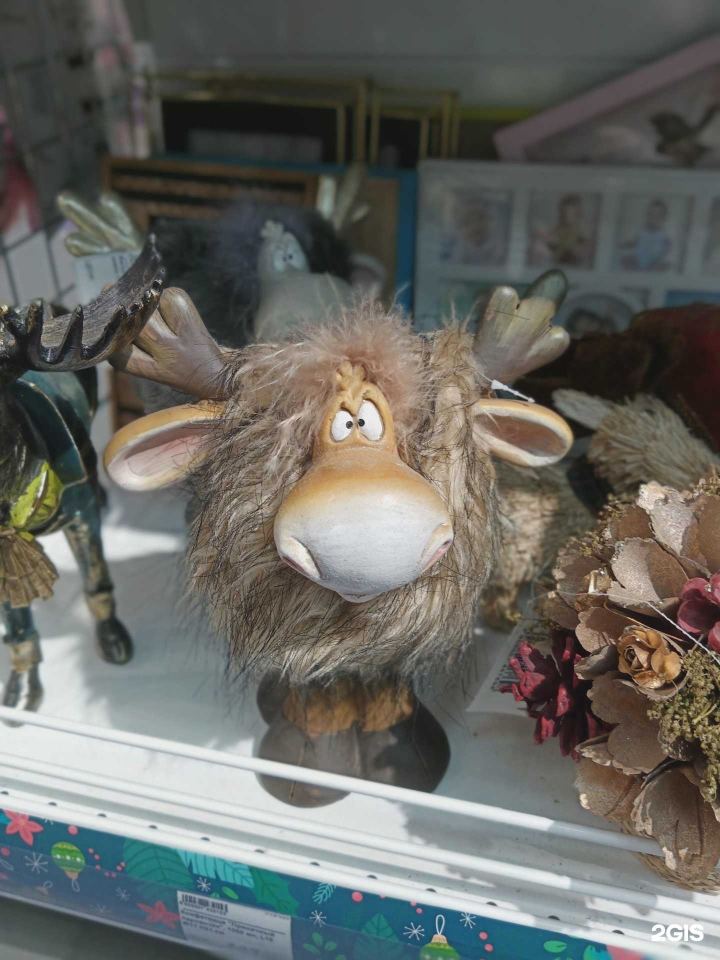 Отзывы на компанию Эльсити в Красноярске c фото