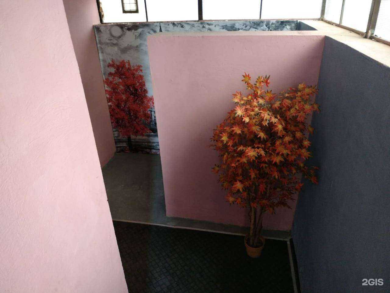 Отзывы на компанию English house в Рязани c фото