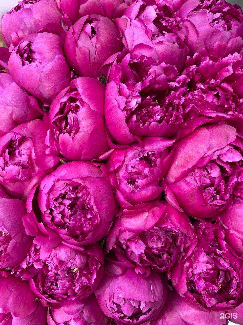 Отзывы на компанию Цветы на кольце в г. Балашиха c фото