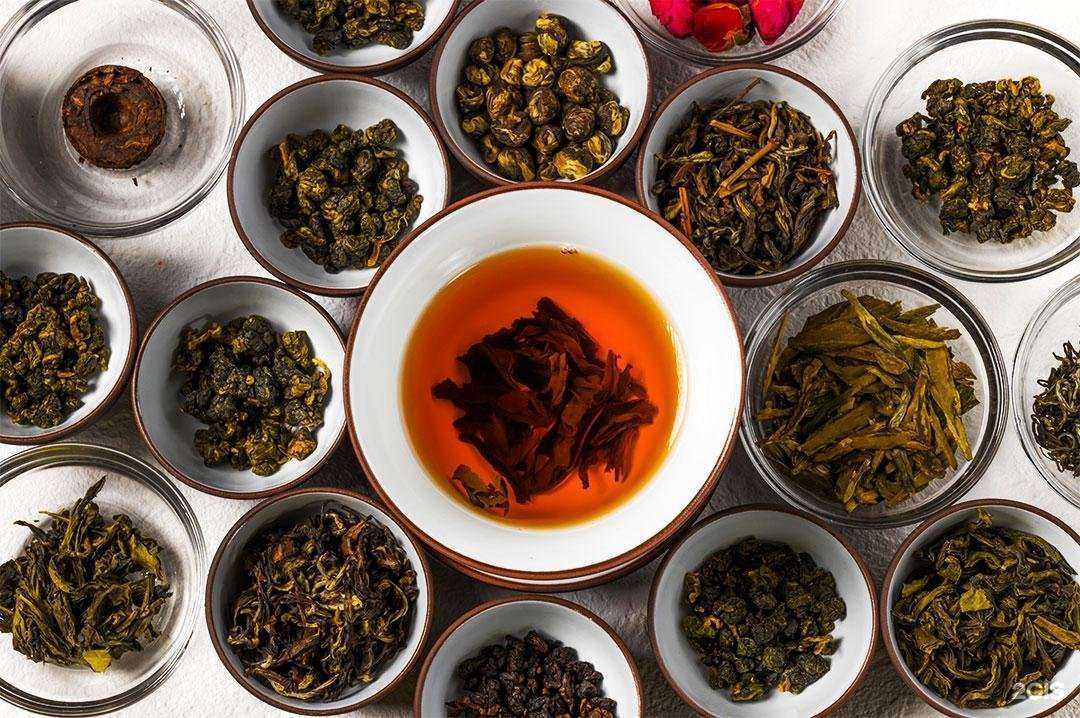 Отзывы на компанию Red dragon tea в Волгодонске c фото