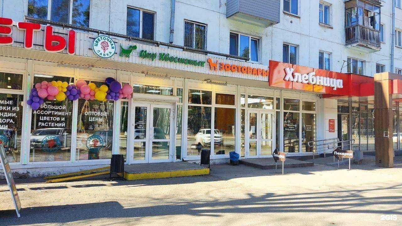 Отзывы на компанию Мир хвостатых в Перми c фото