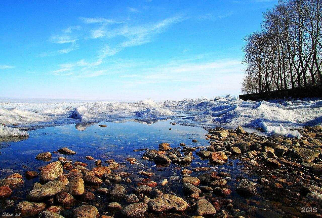 Отзывы на компанию Weacom.ru в г. Иркутск c фото