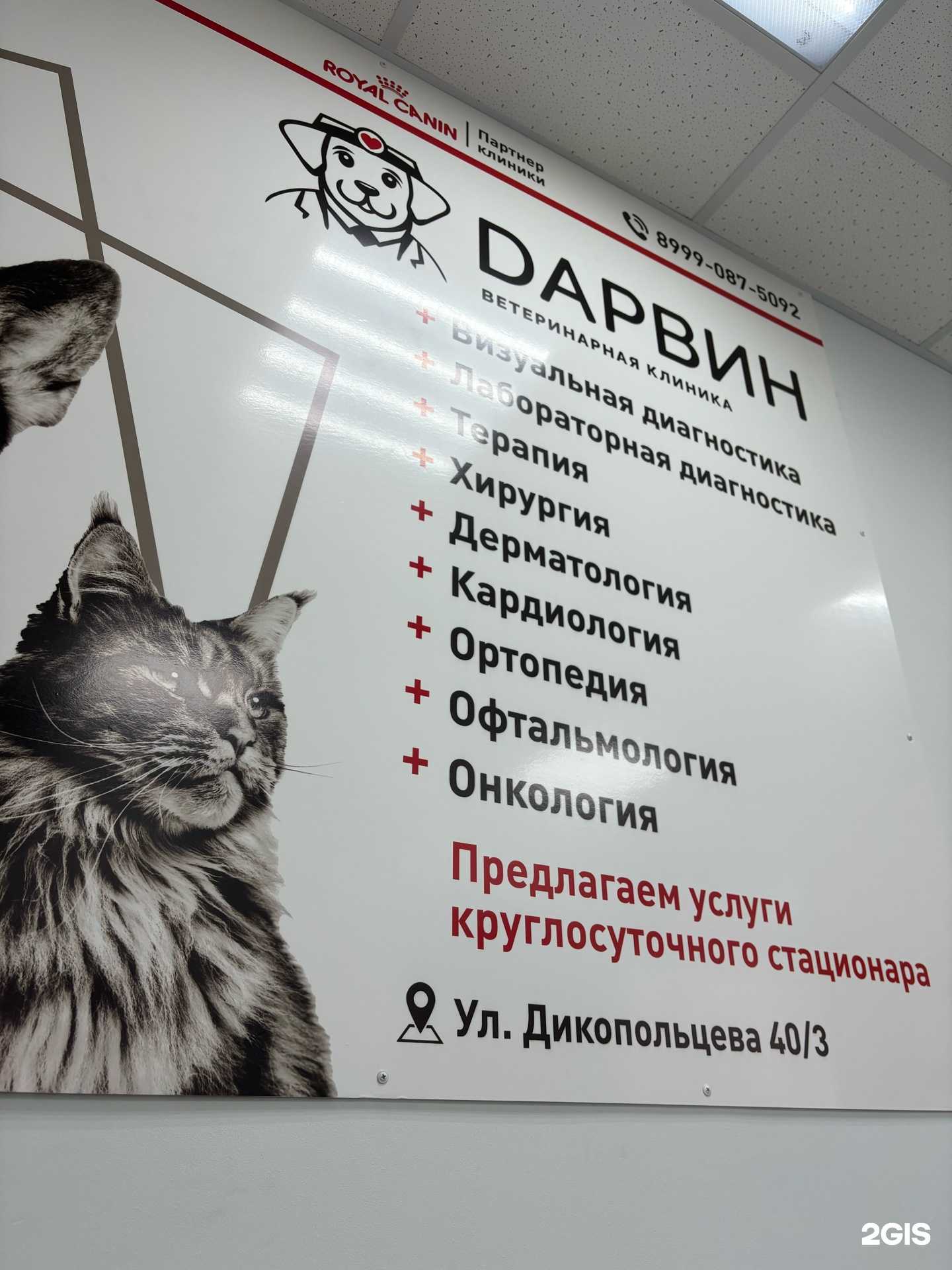 Отзывы на компанию Дарвин в Комсомольске-на-Амуре c фото