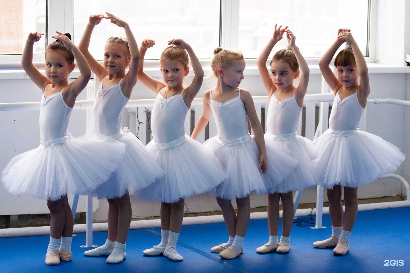 Отзывы на компанию Жар-птица в Новосибирске c фото