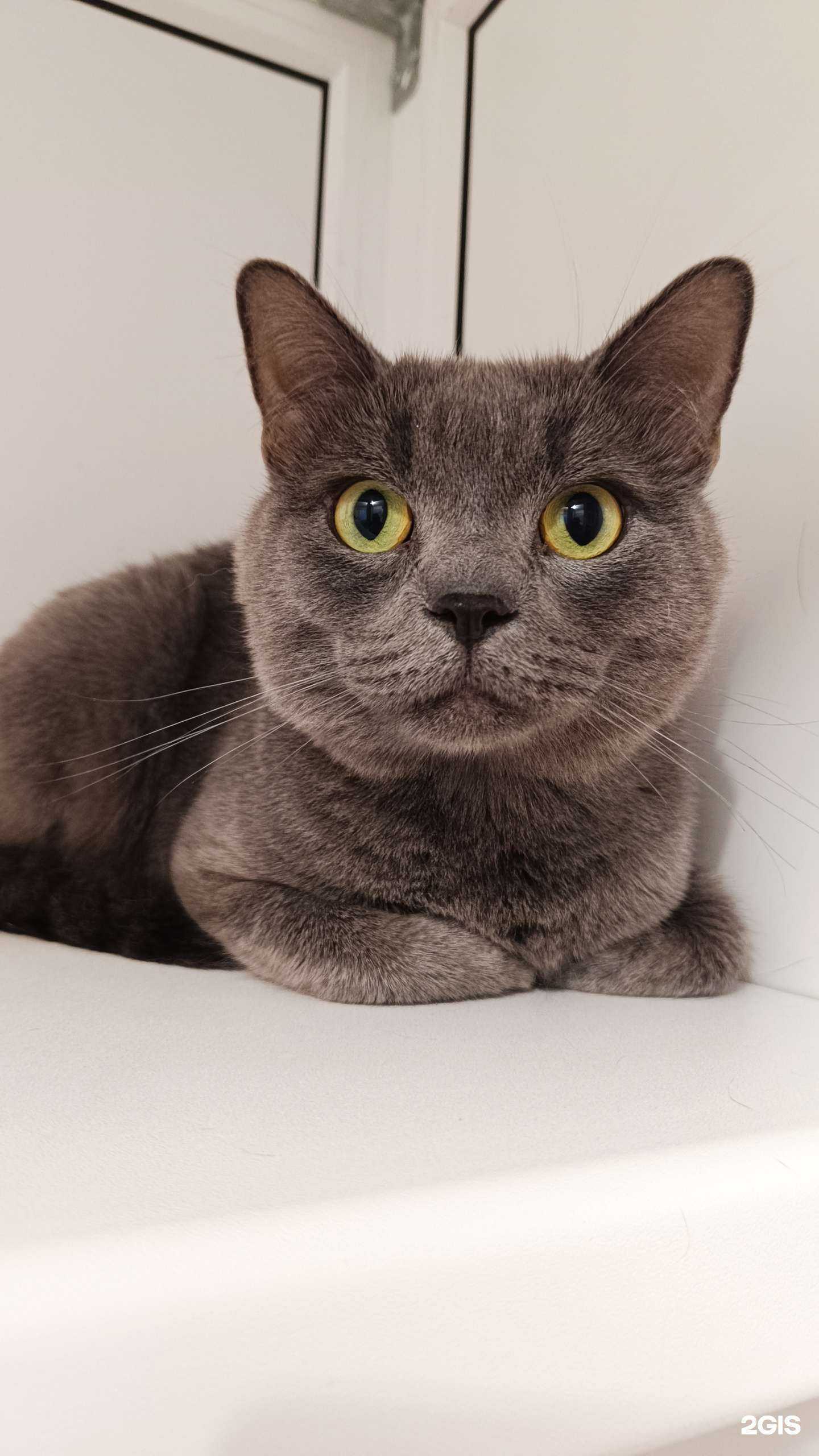 Отзывы на компанию кОтэль в Сургуте c фото