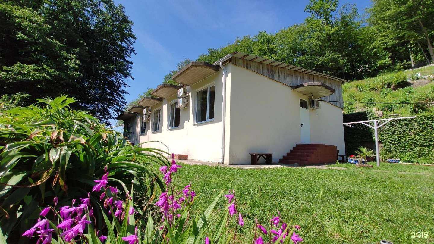 Отзывы на компанию Любава в Сочи c фото