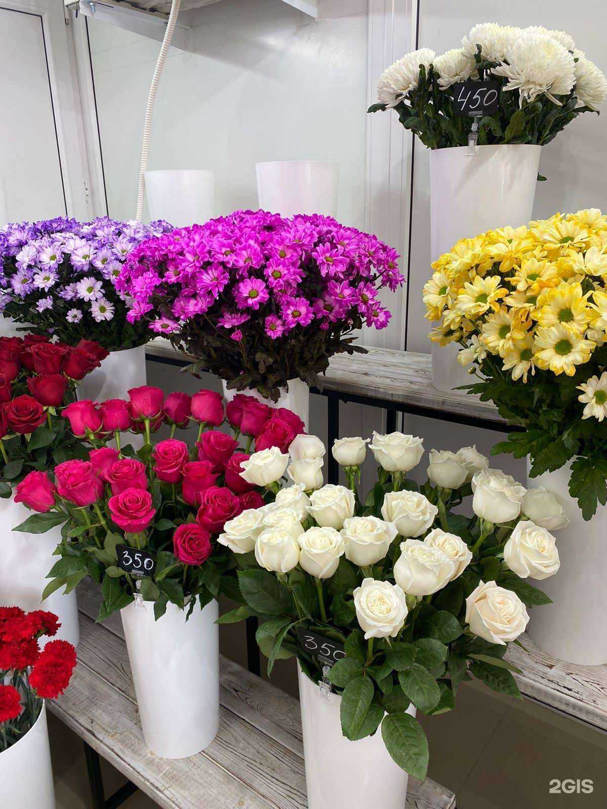 Отзывы на компанию Первоцвет в г. Красноярск c фото