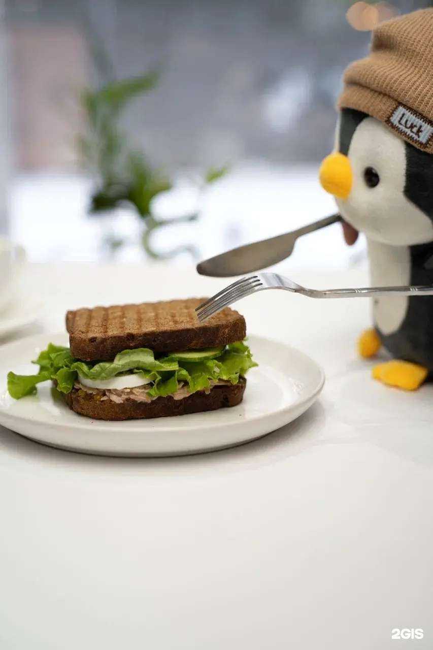 Отзывы на компанию Бодрый Олли в Иркутске c фото