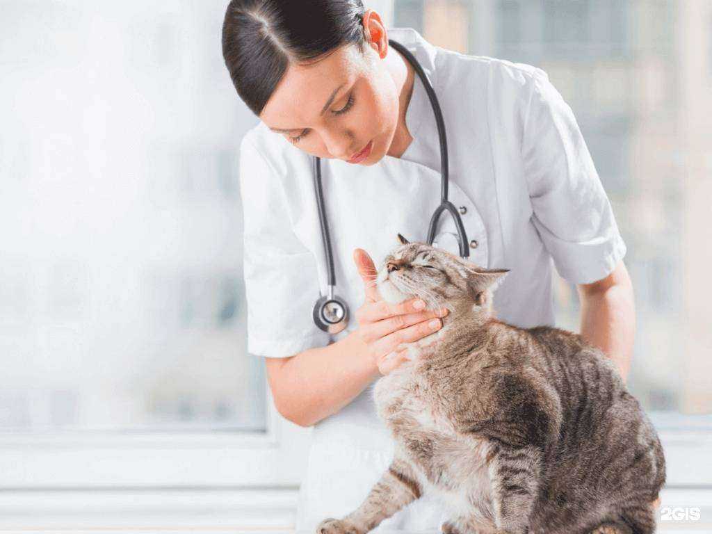 Отзывы на компанию Маугли в г. Королёв c фото