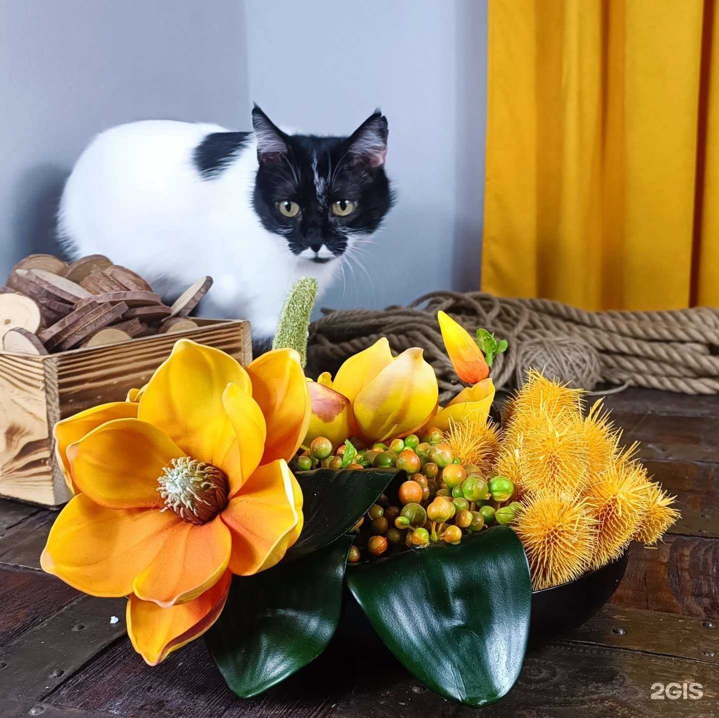 Отзывы на компанию Gangarium в Ростове-на-Дону c фото