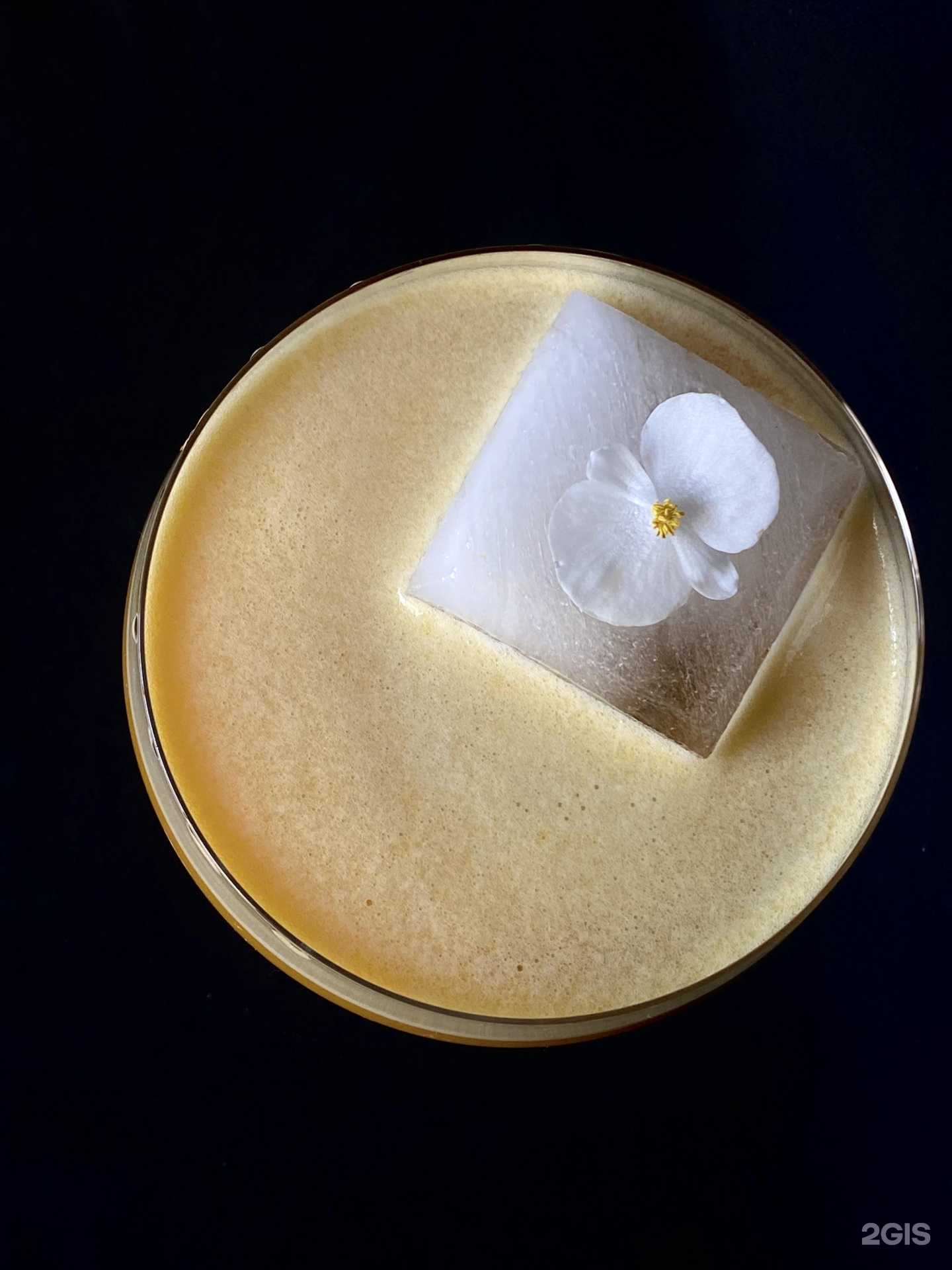 Отзывы на компанию Shisha grill в г. Липецк c фото