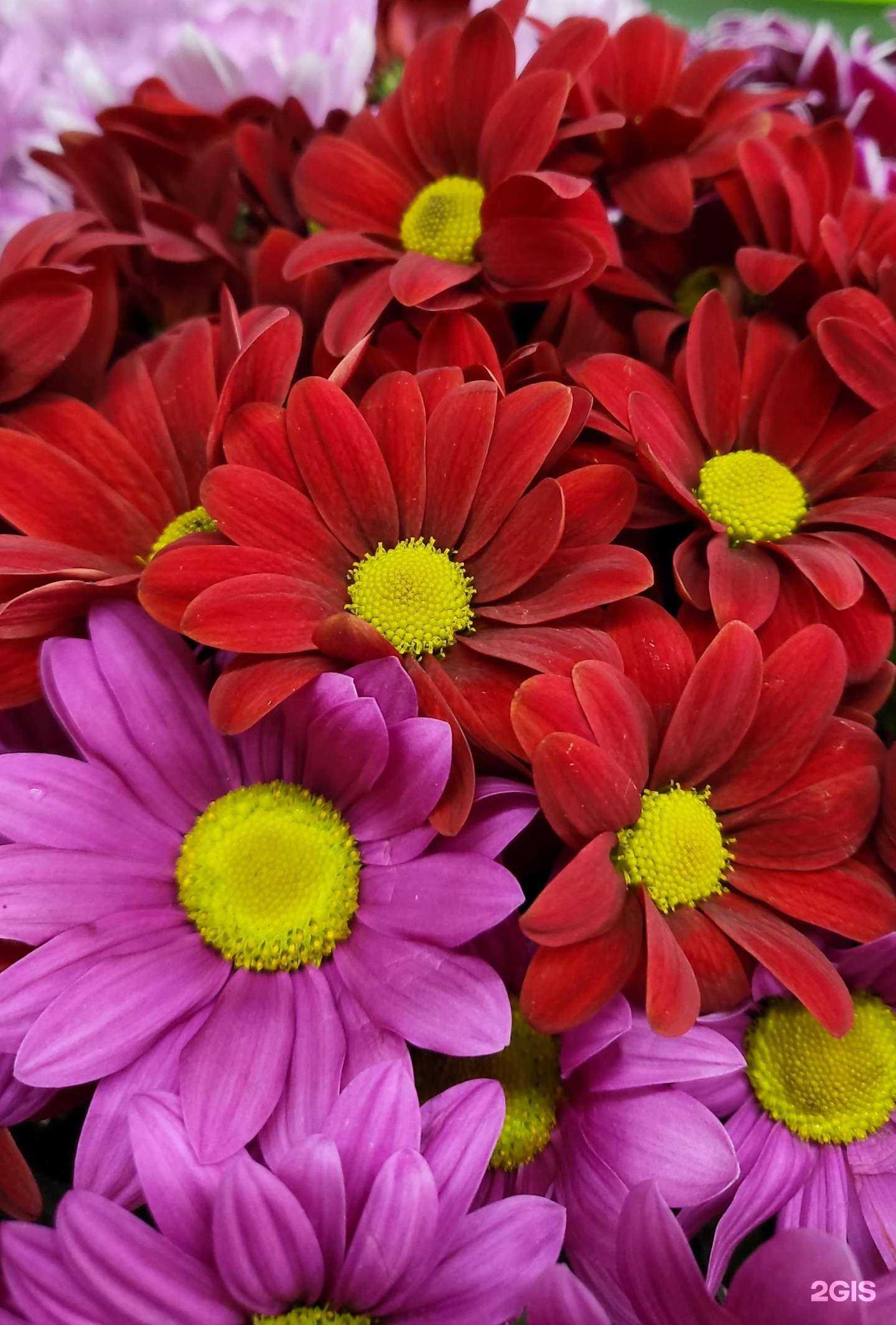 Отзывы на компанию Мир цветов в Челябинске c фото