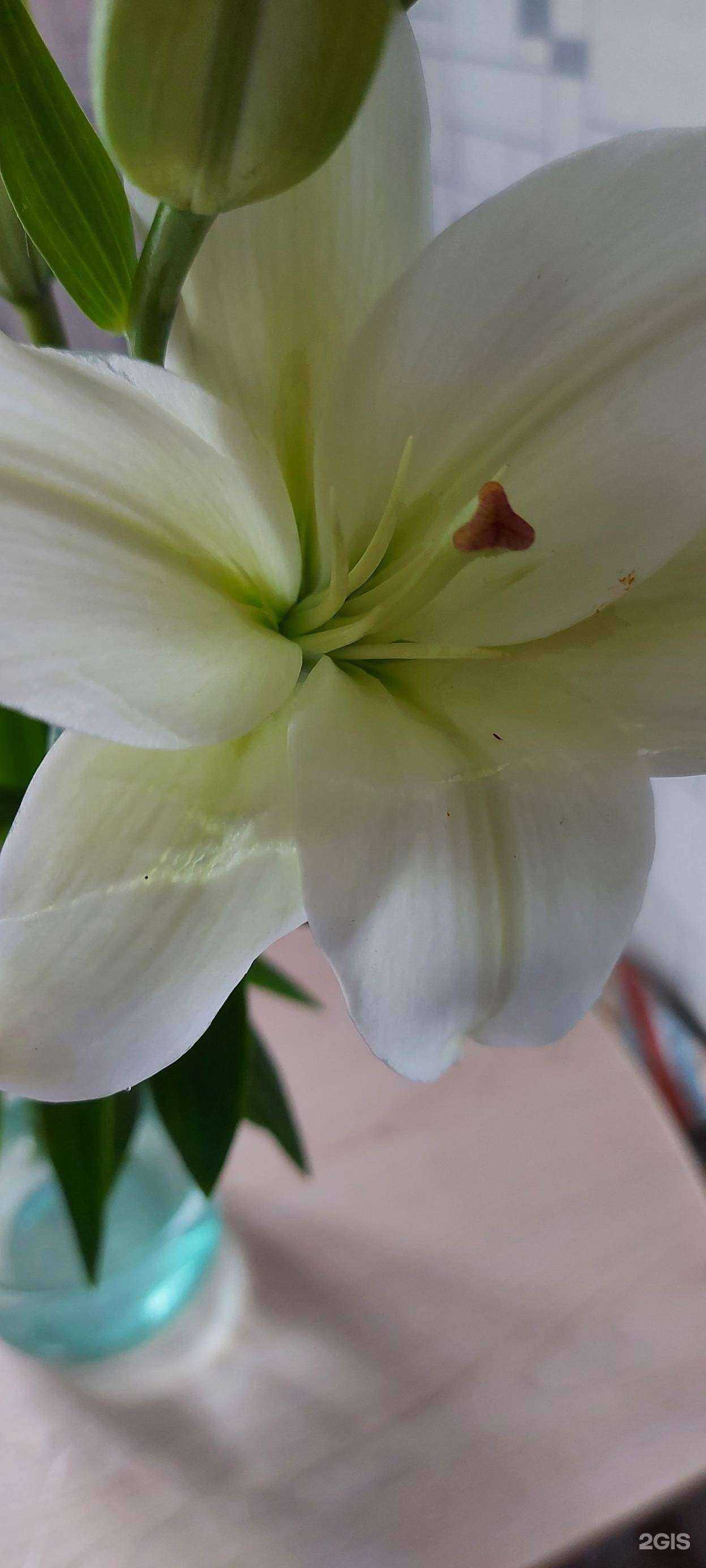 Отзывы на компанию Крона в Красноярске c фото