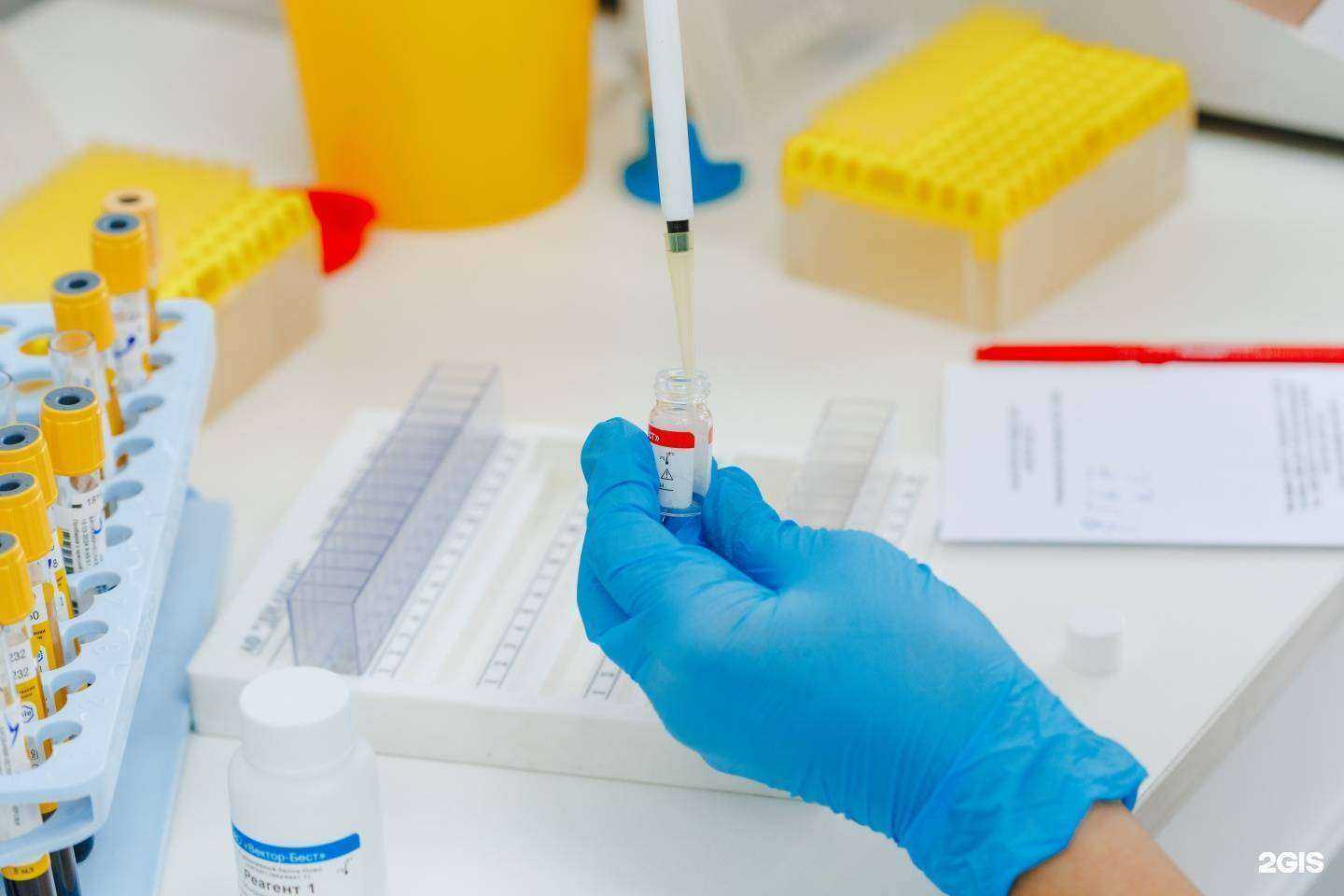 Отзывы на компанию Нарцисс в Новокузнецке c фото