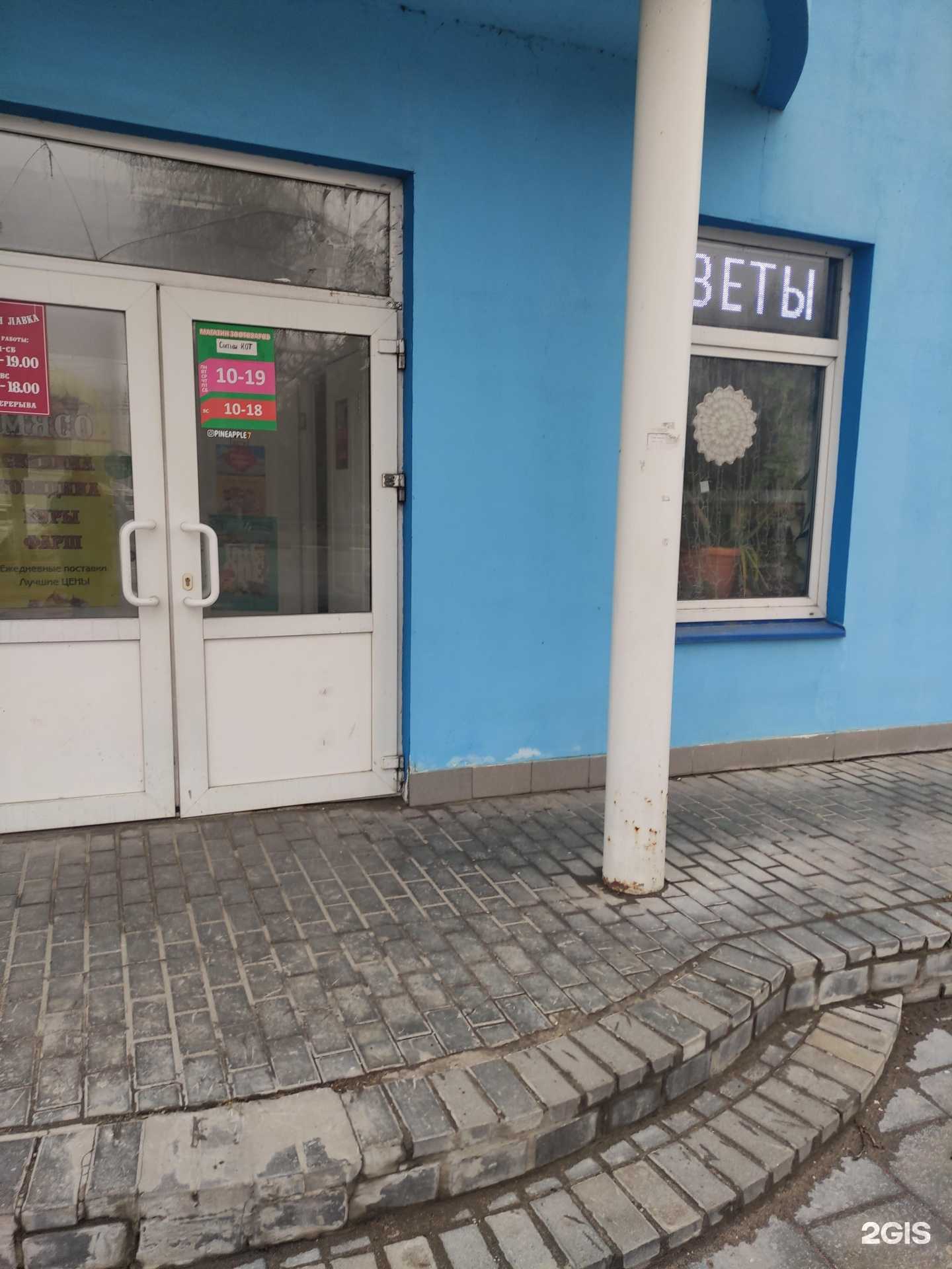 Отзывы на компанию Сытый кот в Коломне c фото