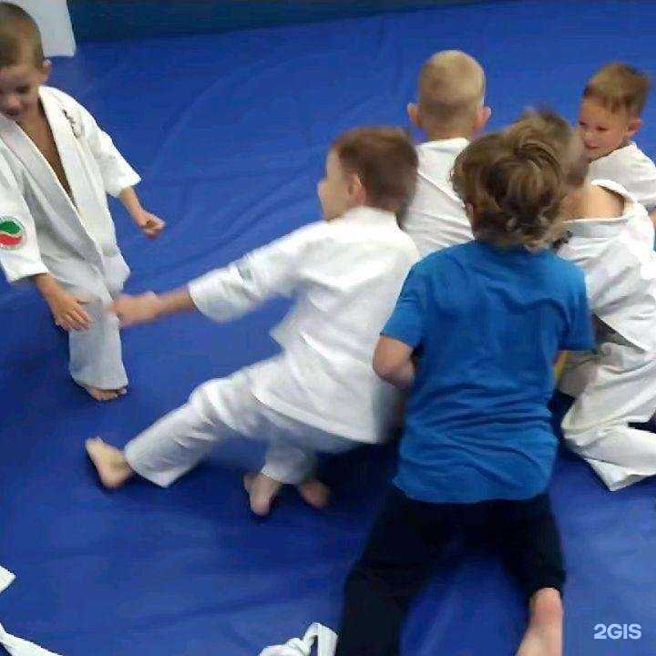 Отзывы на компанию Федерация кудо России в Республике Татарстан в Казани c фото
