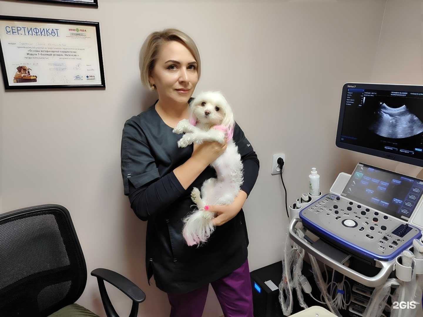 Отзывы на компанию Ветеринарный кабинет Сидоренко О.Б. в г. Чебоксары c фото