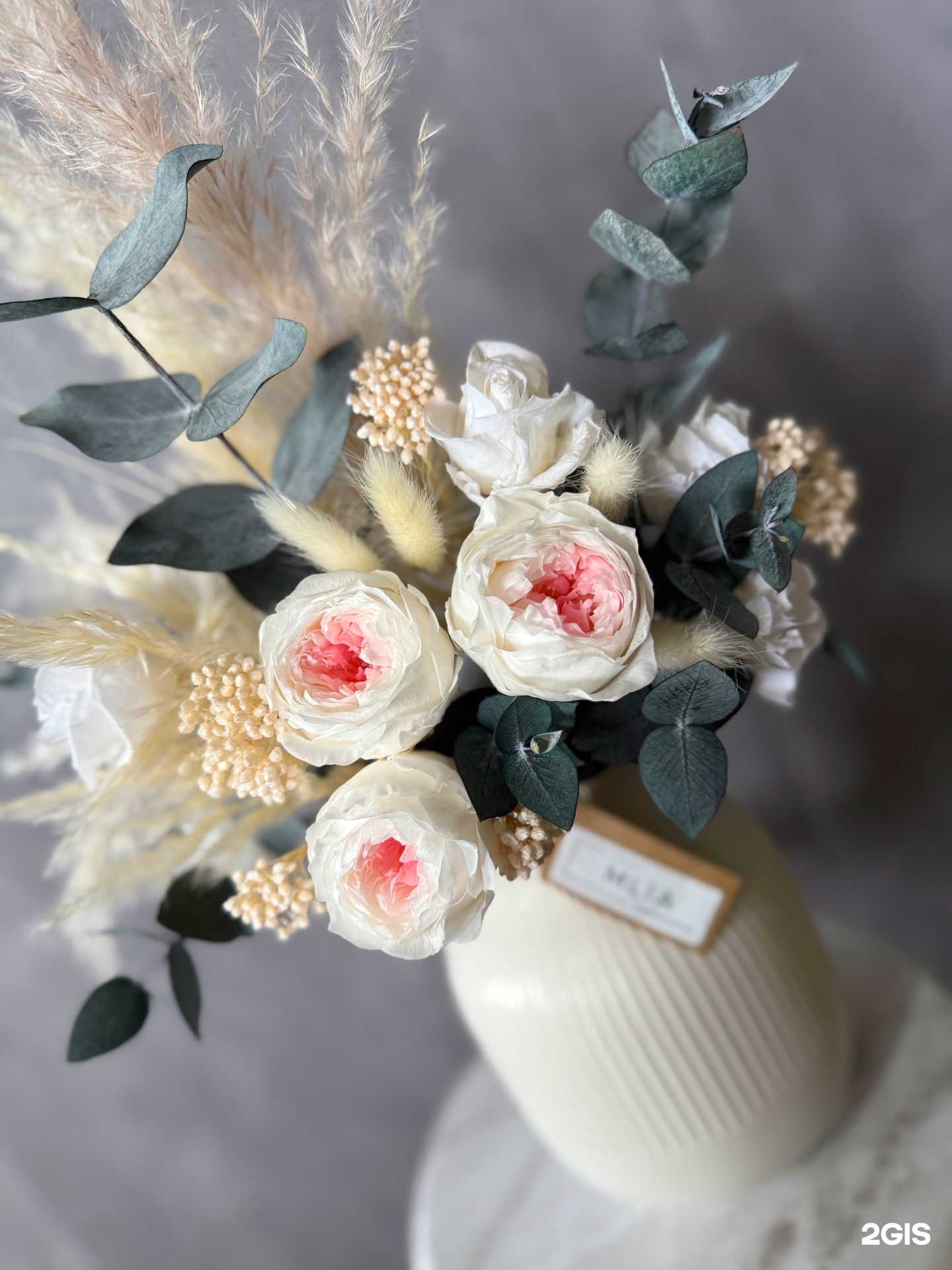 Отзывы на компанию Mlia в г. Сочи c фото