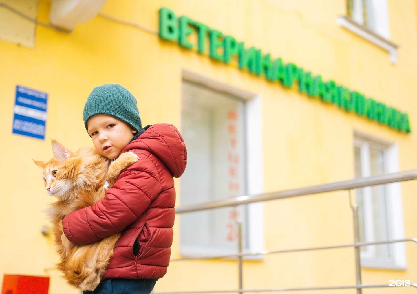 Отзывы на компанию ВетЦентр24 в Уфе c фото