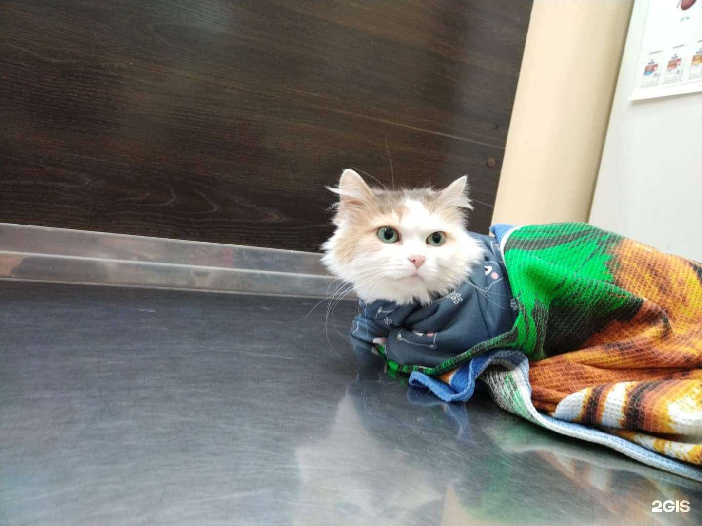 Отзывы на компанию Анима в Омске c фото