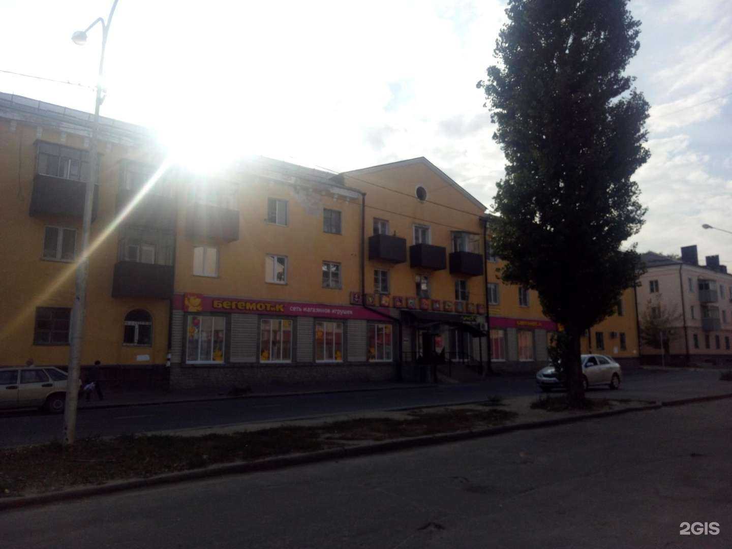 Отзывы на компанию Бегемотя в Липецке c фото - фотография 2 из 2