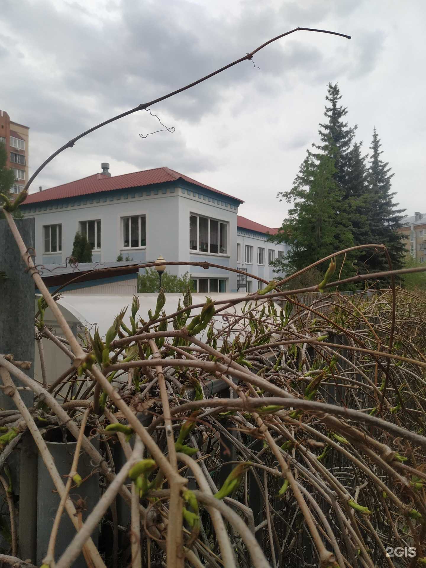 Отзывы на компанию Детский сад №181 в г. Челябинск c фото