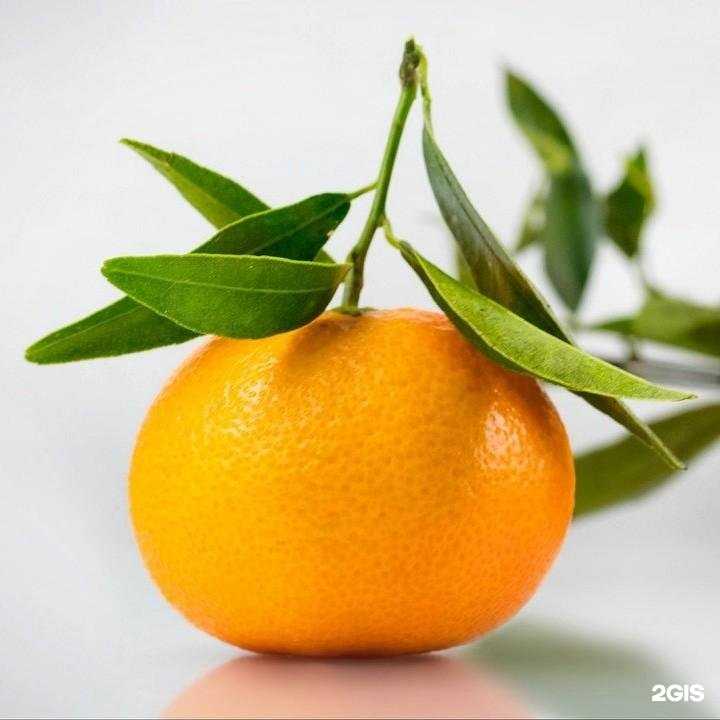 Отзывы на компанию Мандарин в Междуреченске c фото