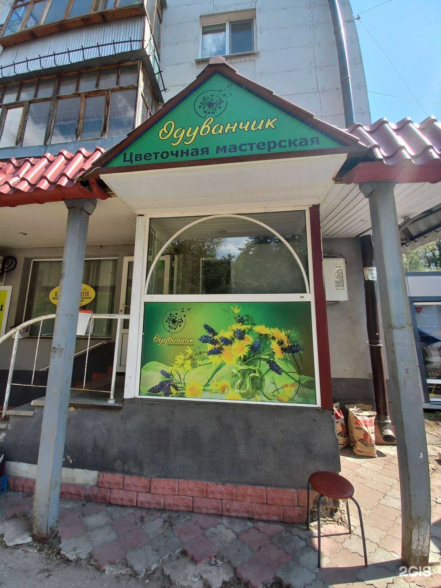 Отзывы на компанию Одуванчик в Димитровграде c фото