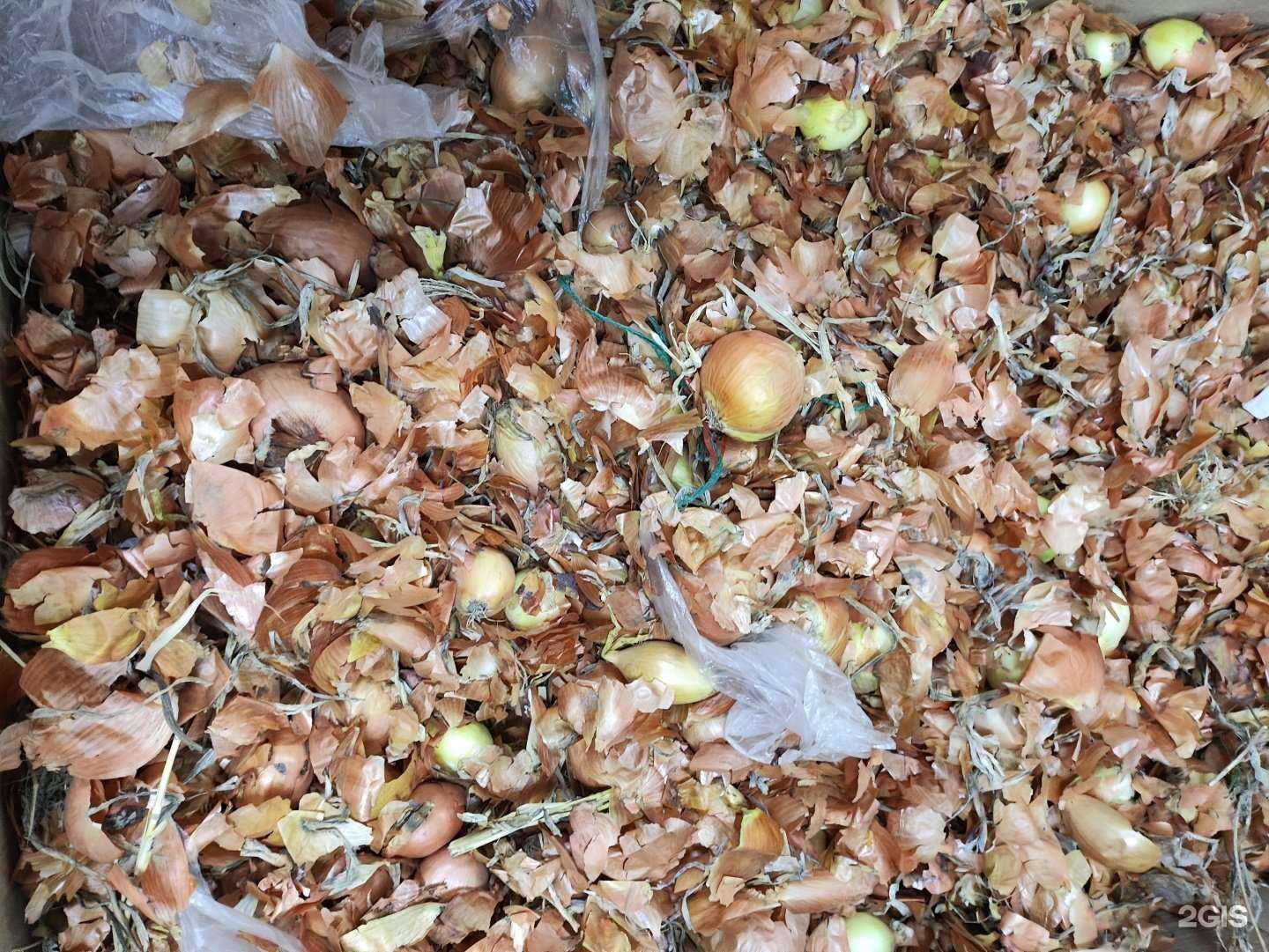 Отзывы на компанию Добрые крышечки в Красноярске c фото - фотография 2 из 2