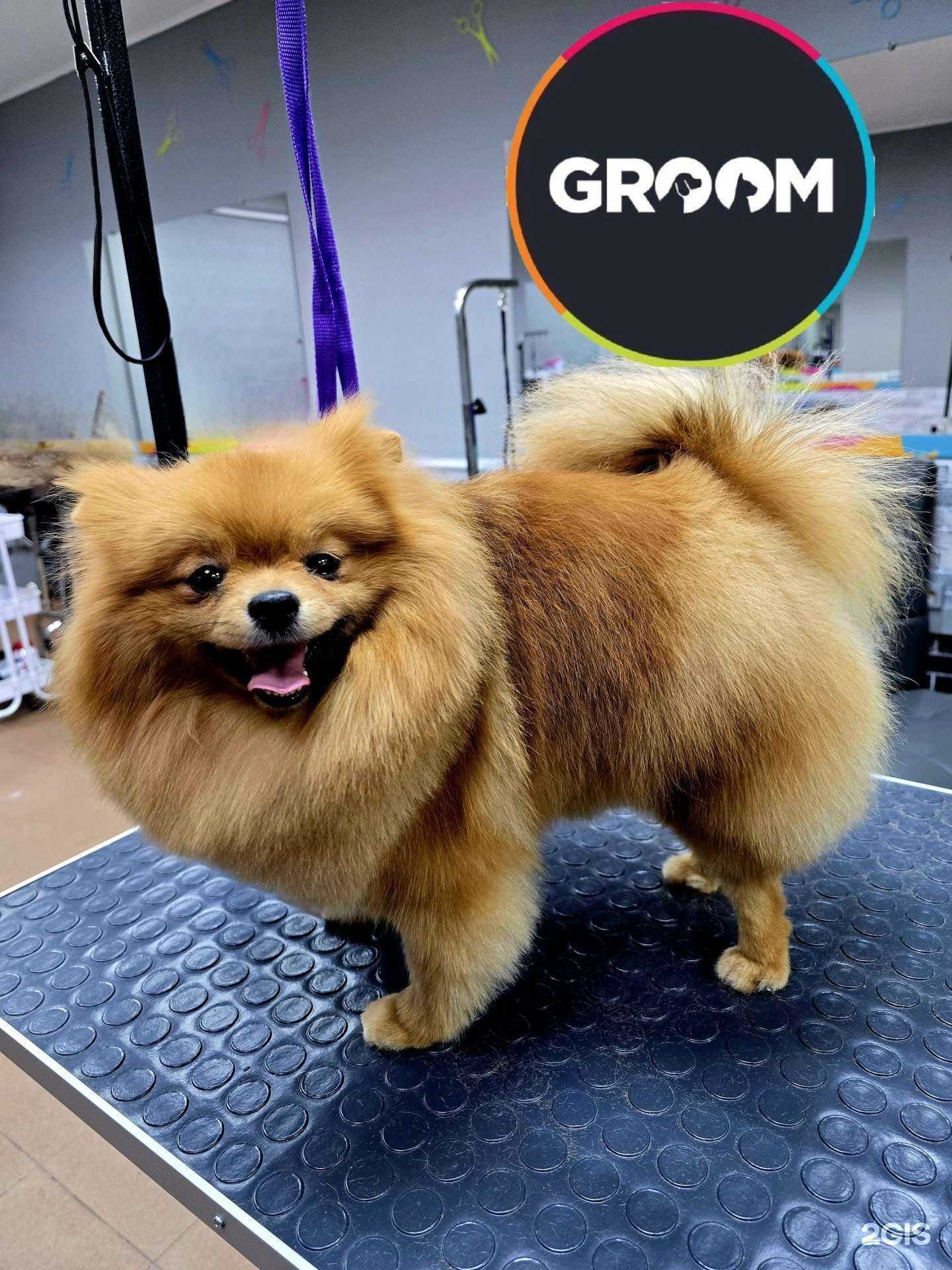 Отзывы на компанию Groom в г. Красноярск c фото